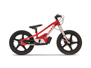 GASGAS REPLICA 18EDRIVE STACYC 18e RIGID DRIVE BRUSHLESS E-BIKE TRAINER